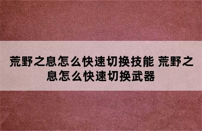 荒野之息怎么快速切换技能 荒野之息怎么快速切换武器